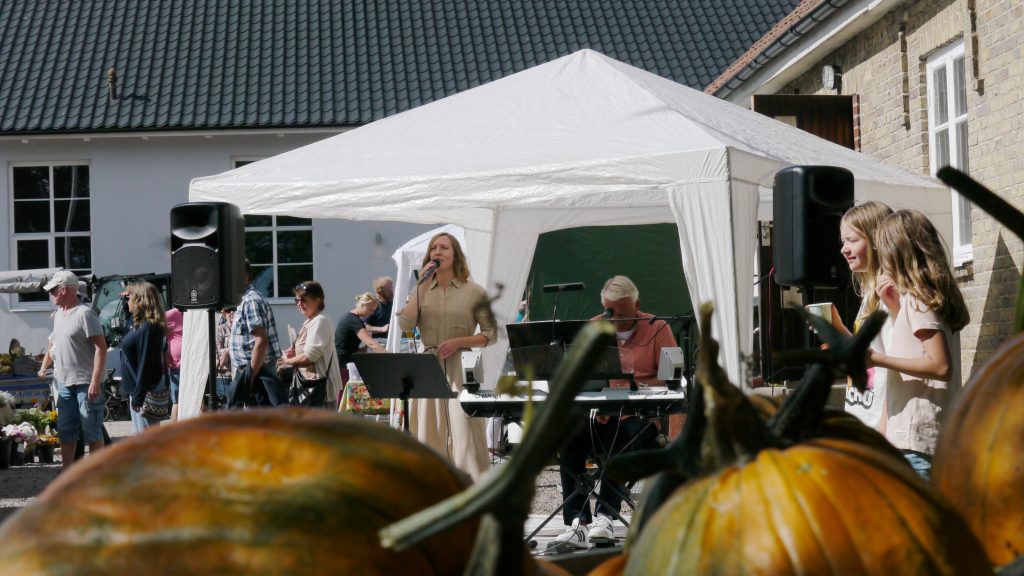 Mats och Frida spelar och sjunger på intresseföreningens höstmarknad 2022 med folkvimmel i bakgrunden och pumpor i förgrunden