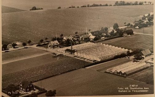 Svart-vitt flygfoto över en gård med flera växthus